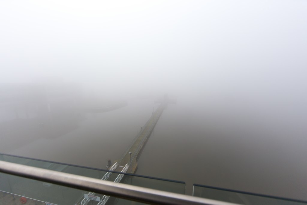 View outside my window this morning, sure if foggy in London today