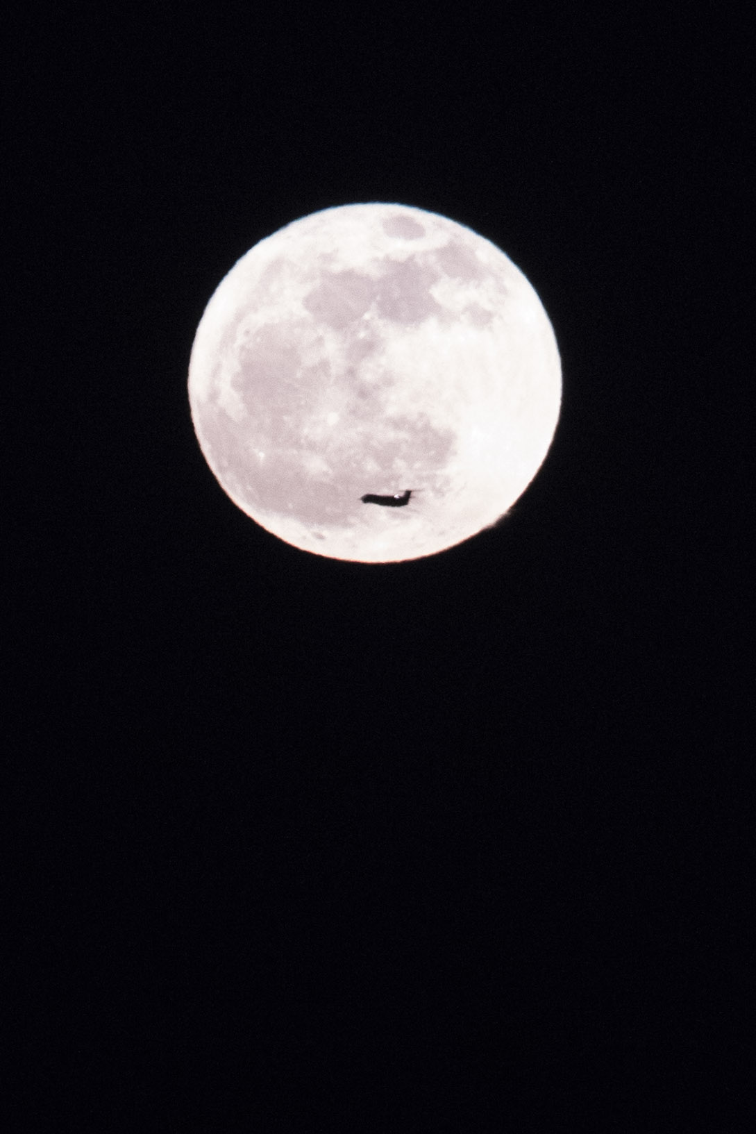 Fly me to the moon