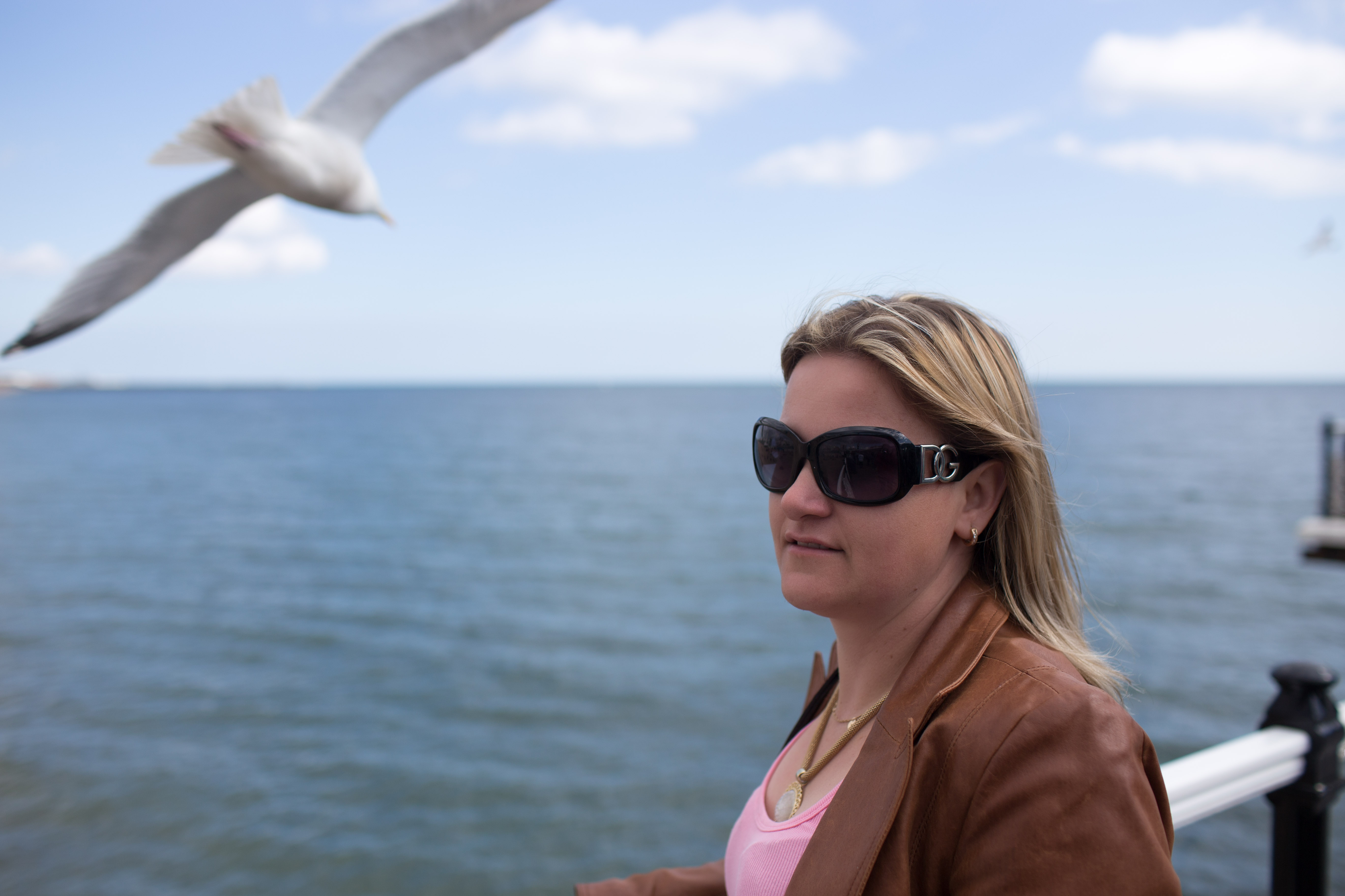 Flight of the Albatross