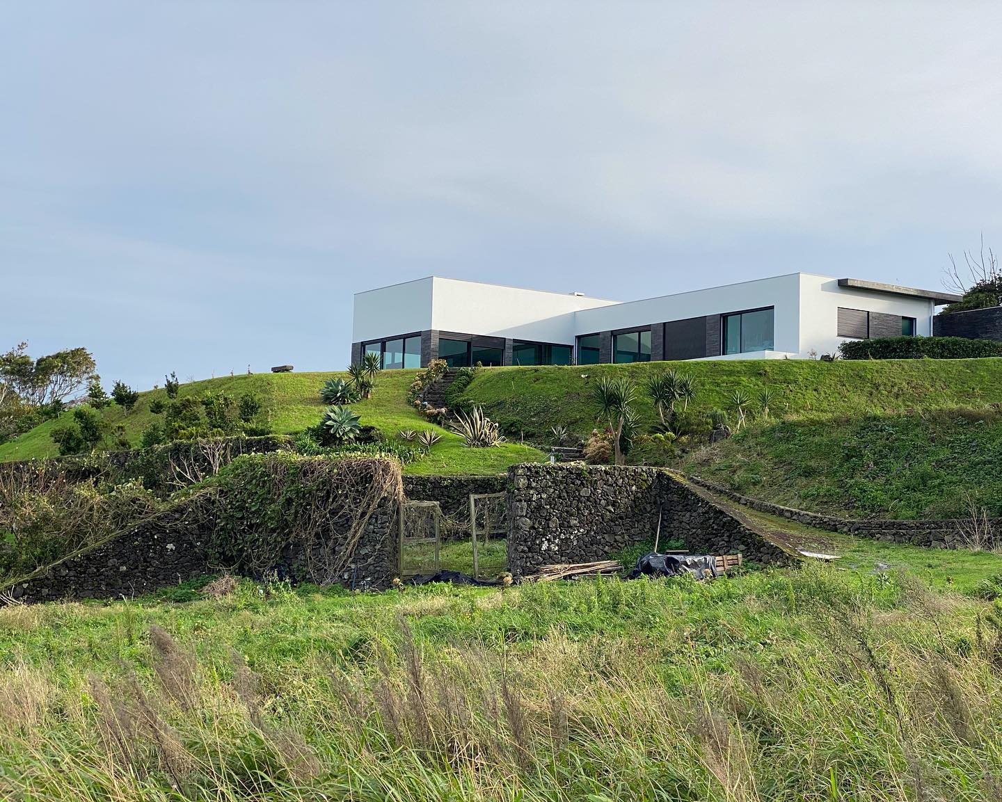 The new house sure has allot of land, I’m still discovering new plants and trees, so far this is one of my favourite views of it, loving it here !