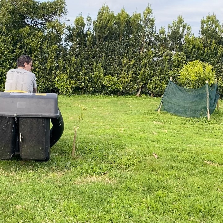 Time to cut the grass on my orchard :)