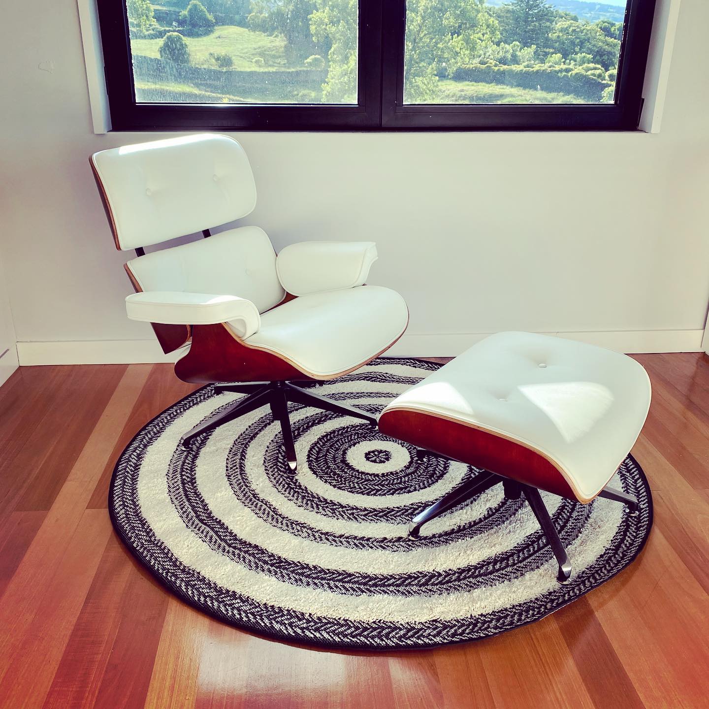 New rug ! Looks great 😀