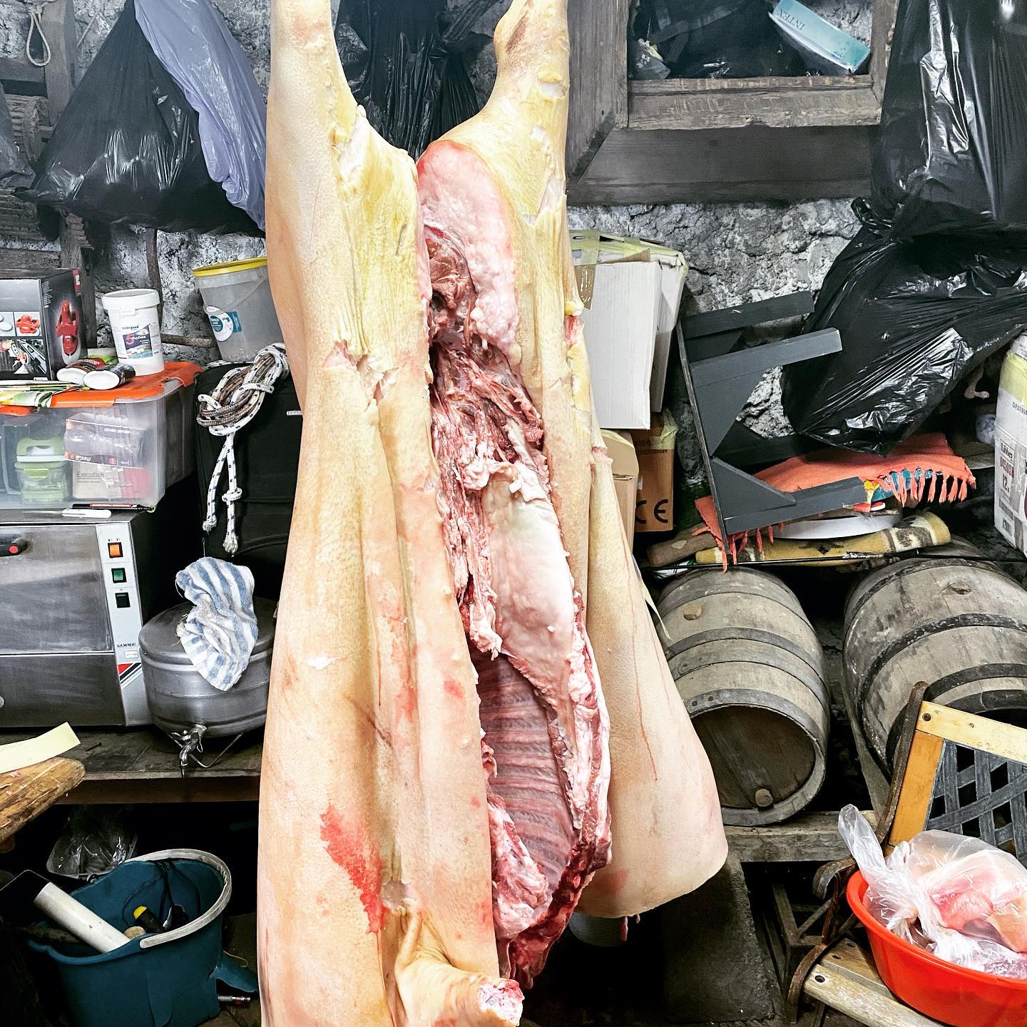 Those traditions that are dying out, we had a pig slaughter this weekend, so much fun (except for the pigs )