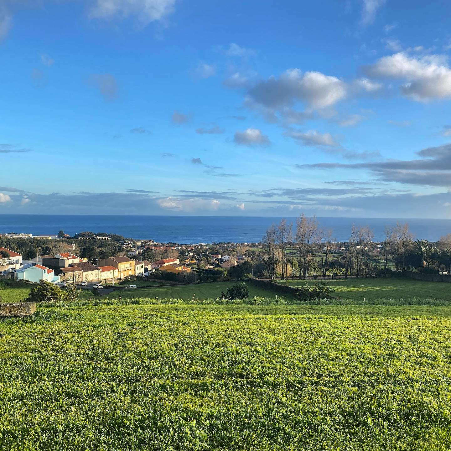 Beautiful winter’s day in the Azores, but not two minutes later after I took the picture, and it’s raining 🌧