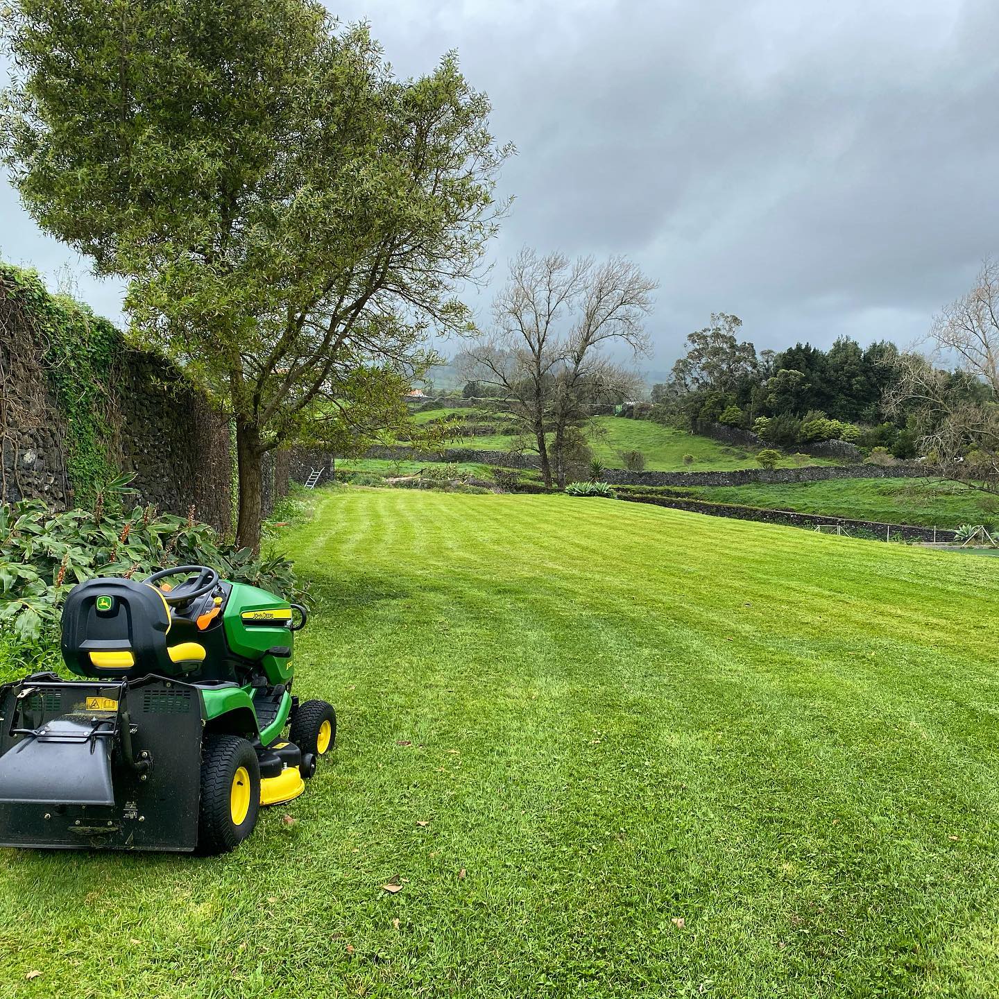 Cortando a grama antes da chuva chegar !, já que estamos confinados e aproveitar para fazer trabalhos de casa