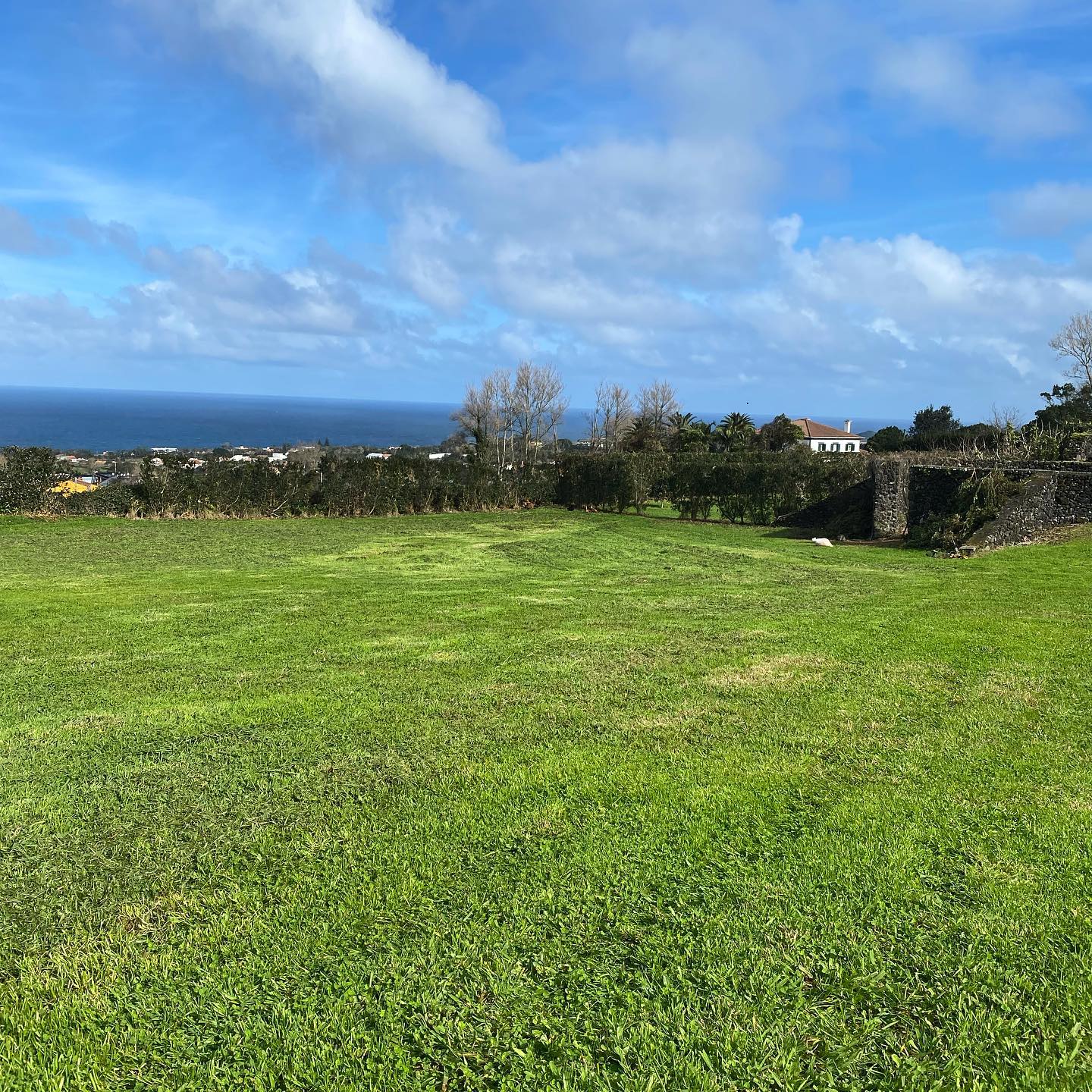 Lower field is mowed, usually the cows graze on it, but will try to convert it to lawn, looks awesome !