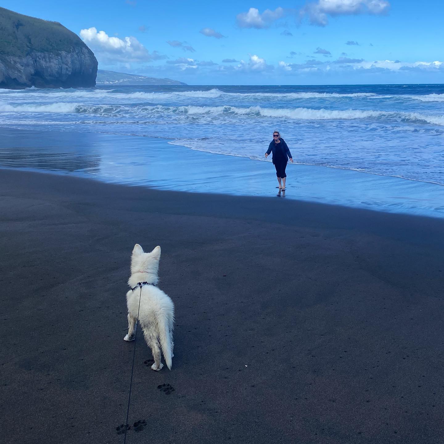 Morning stroll at the beach