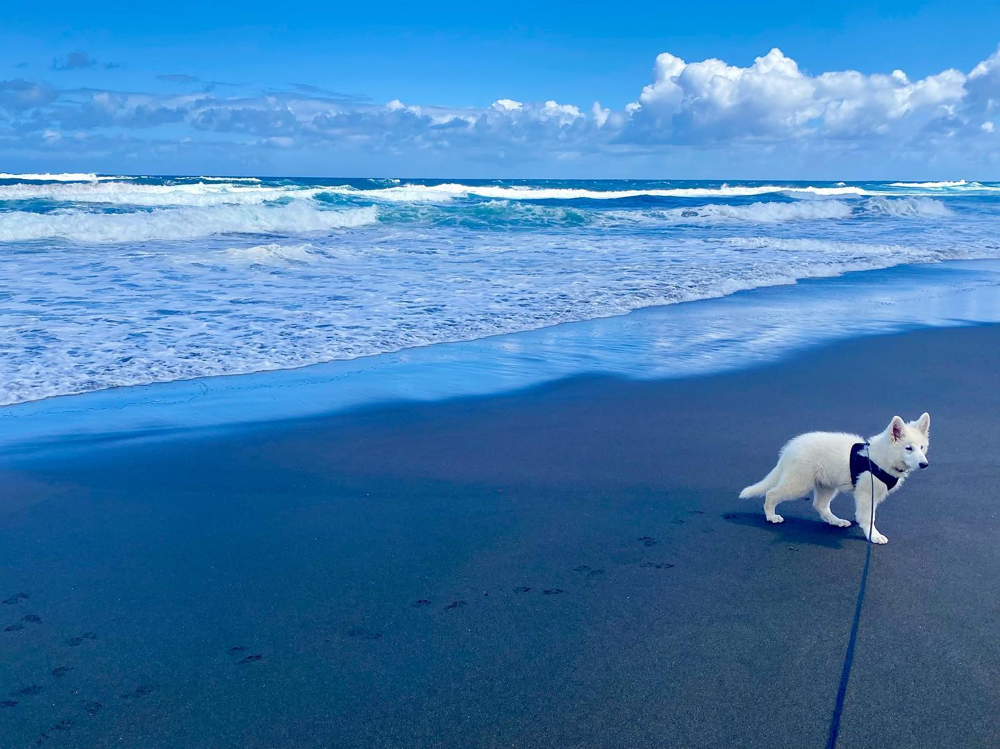Keta @ the beach, she got hit with a wave and didn’t like getting wet !!