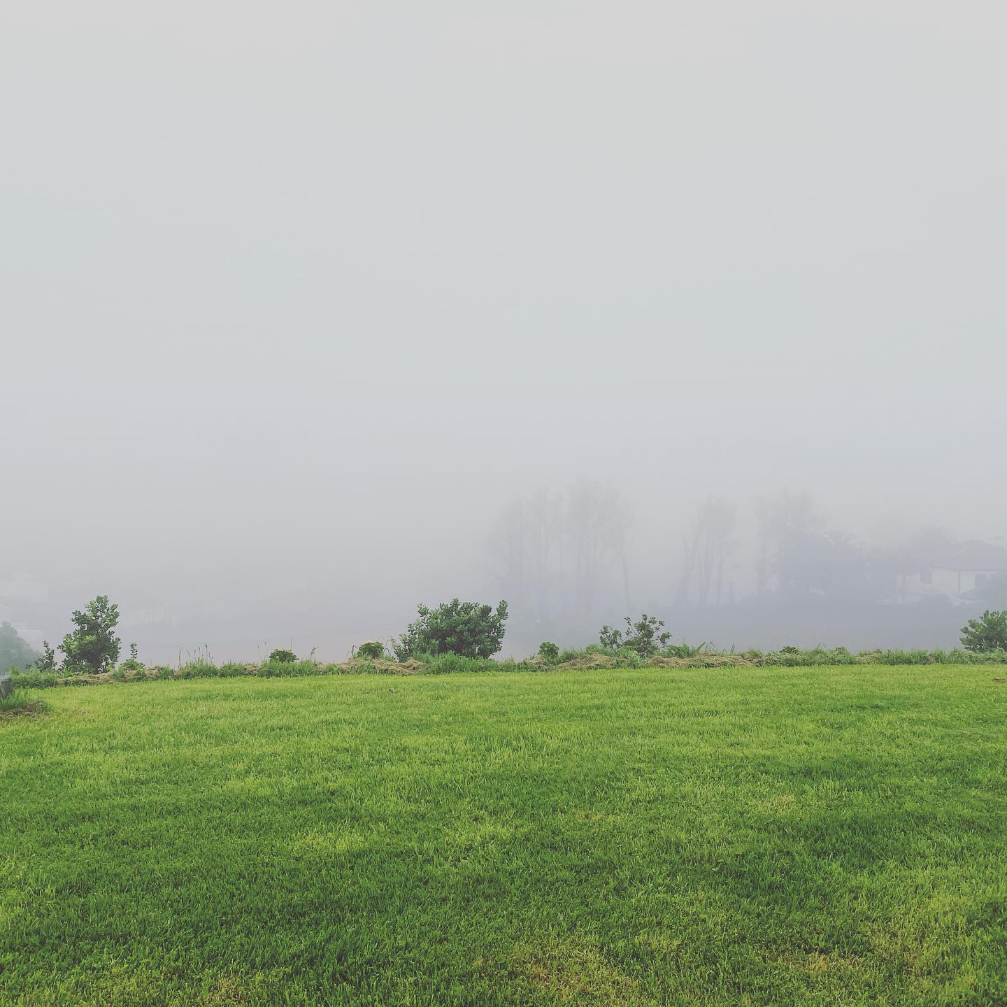 Woke up to massive fog this morning, no view !!