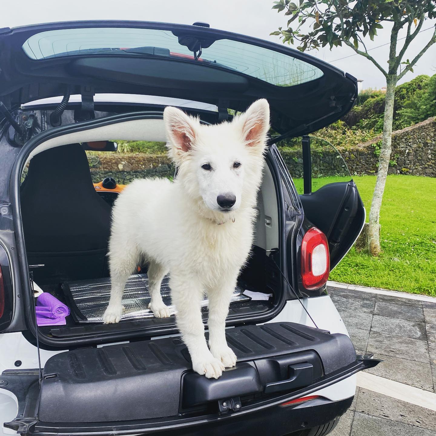 It’s been a long week, taking Keta for a walk to chill for a little bit