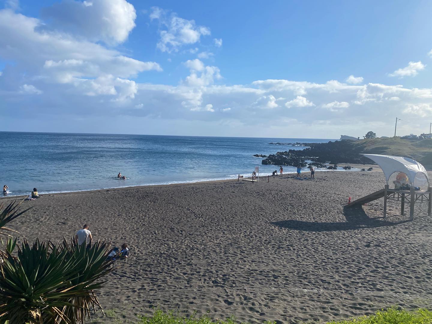 Lovely day for a beach stroll  🏖