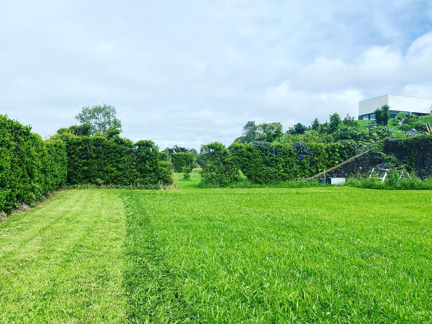 It’s Friday, perfect weather for mowing the lawn, time to relax 🚜