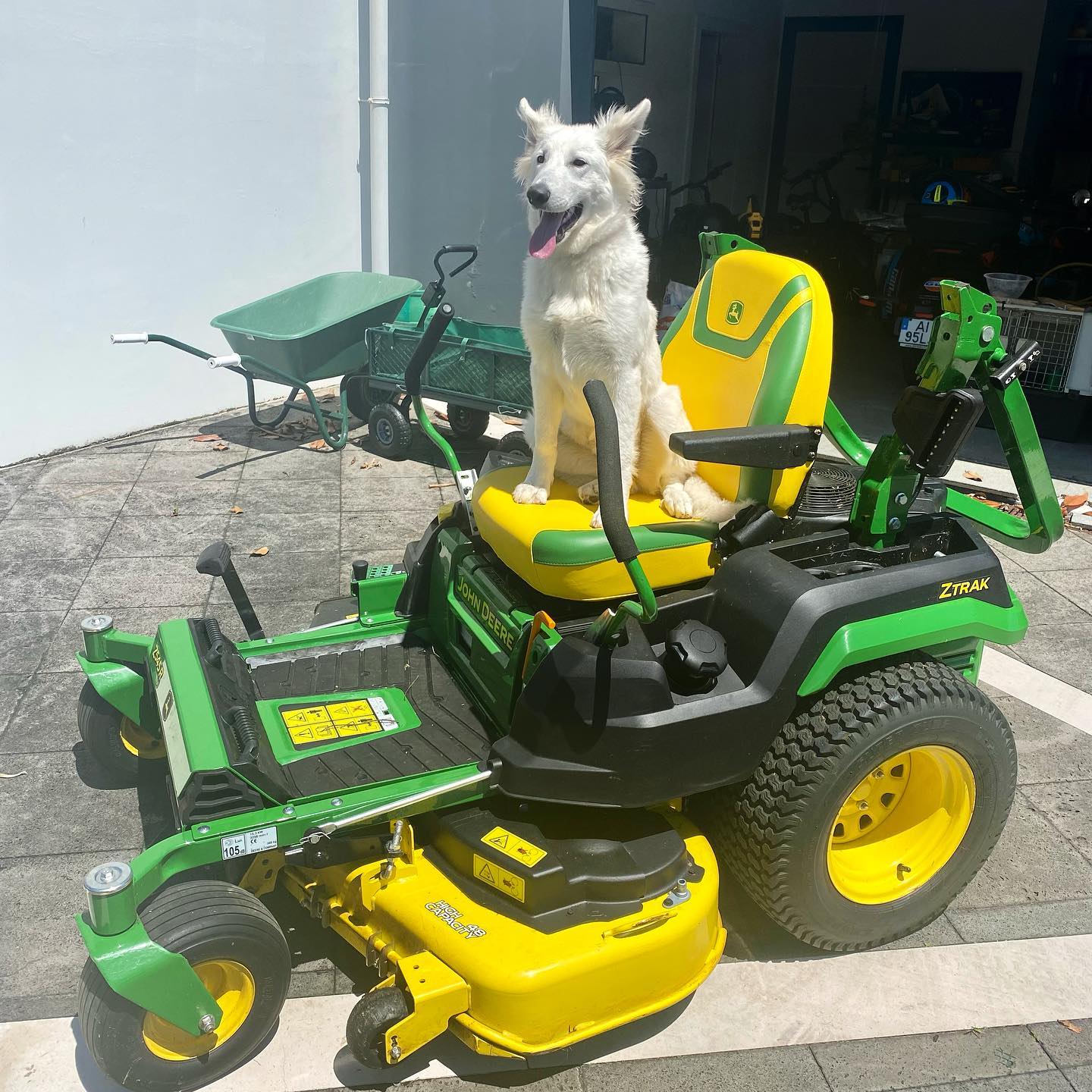 Keta is ready to go mow some lawn !!