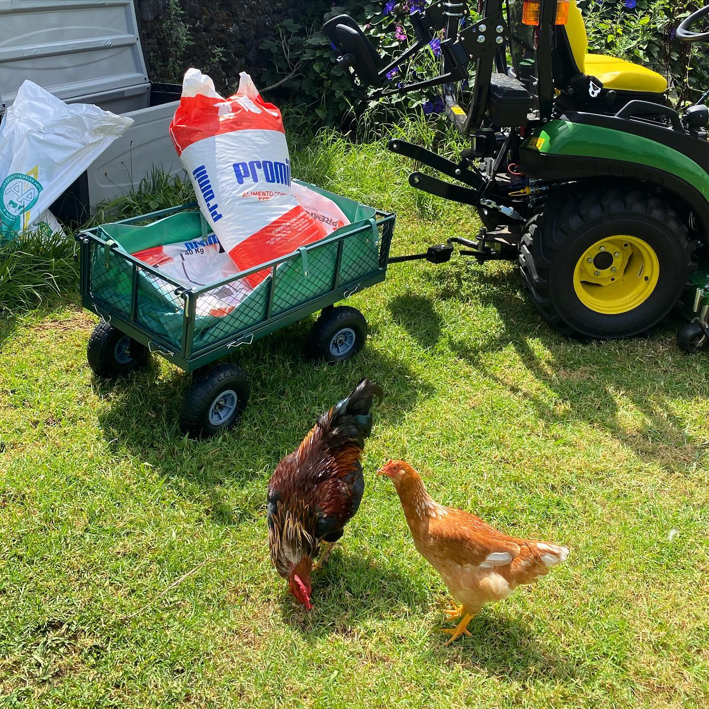 So you study and dedicate yourself to an office career so you don’t need to do manual labor as a young man, in order to save and later buy land so you can do manual labor as an old man … something is wrong with this logic !!