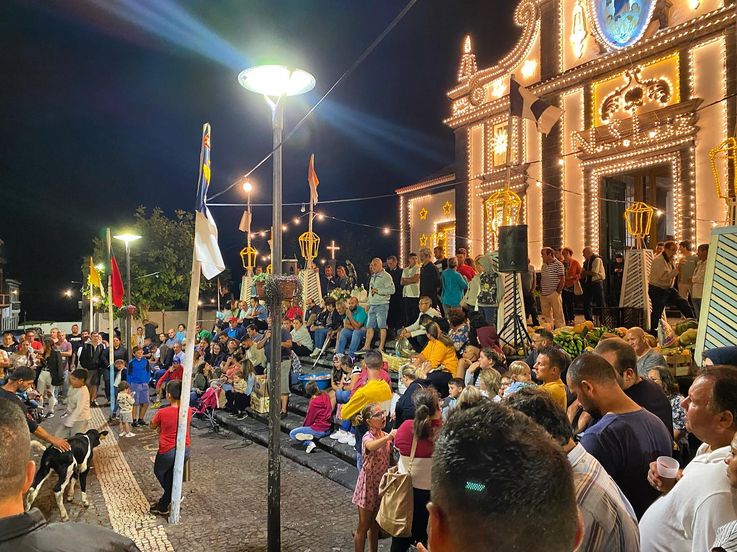 Arrematações nos Fenais