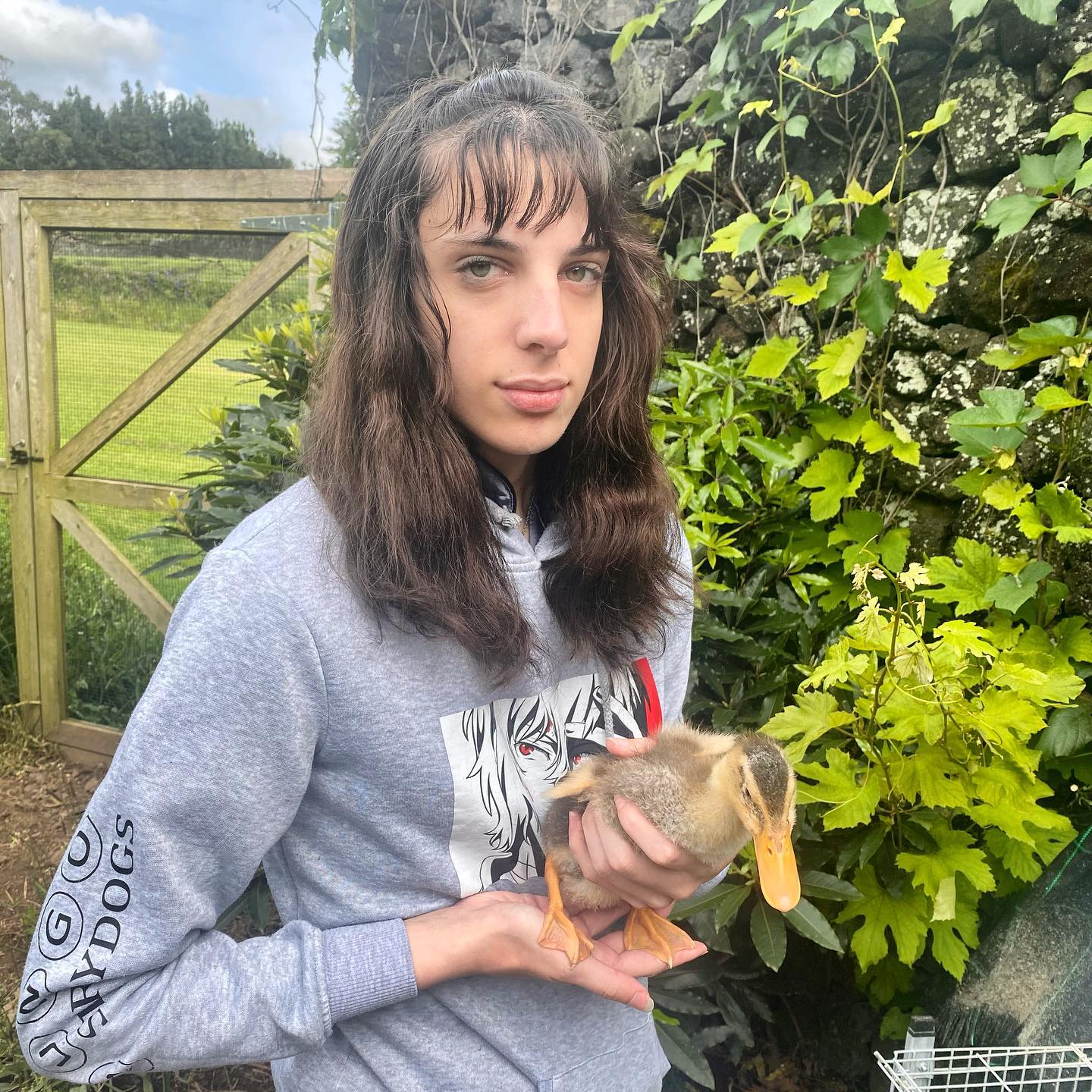 My daughter made a new friend #duck 🦆