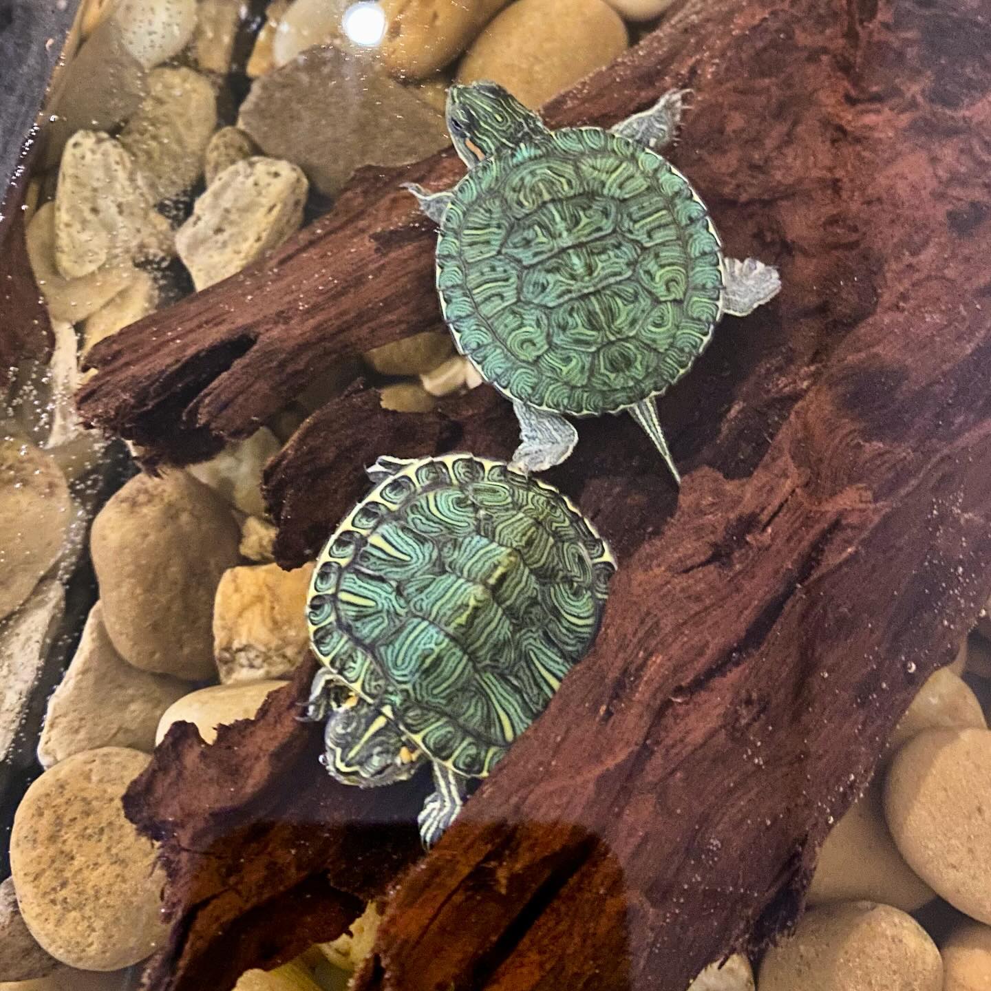 My daughter Sierra new friends