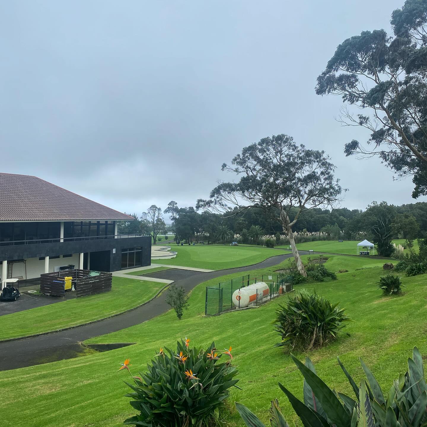 Think I’m about to start a very expensive hobby #batalhagolfcourse