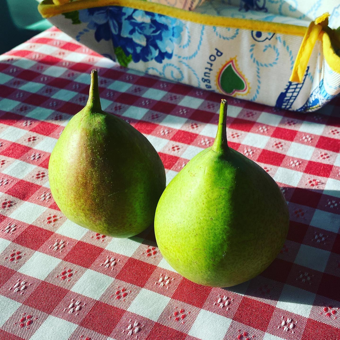 I got two pears 🍐 from my orchard, they coming out gorgeous!!