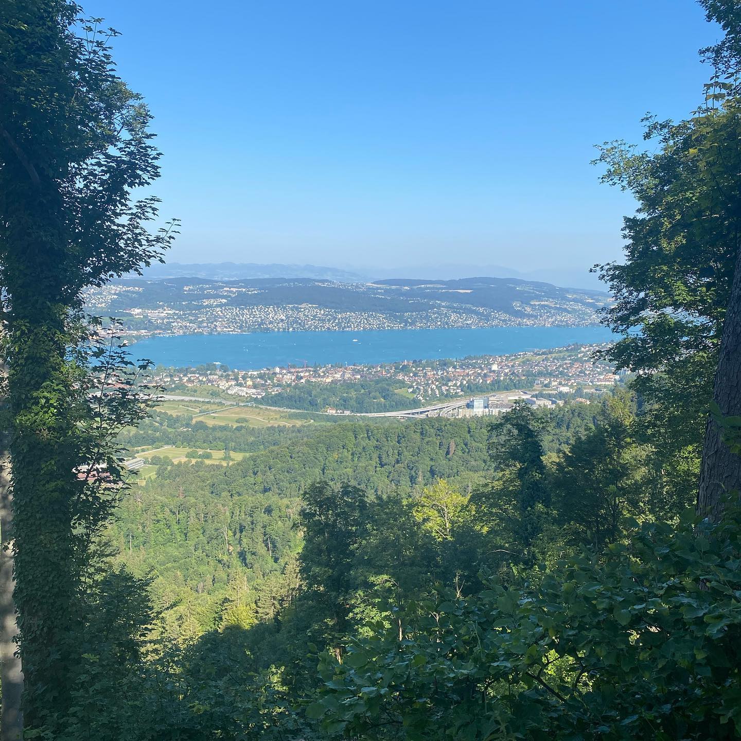 View over Zürich