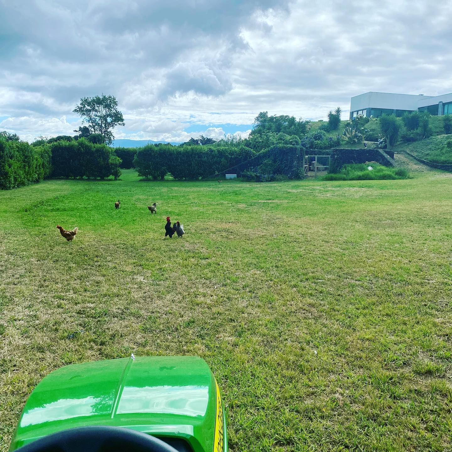 Mowing the lawn 🚜
