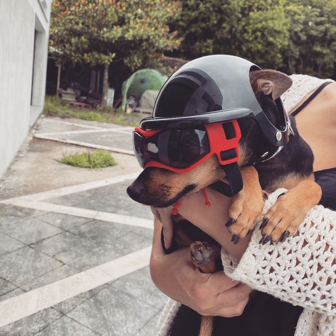 Kira is ready to go motorcycle riding !