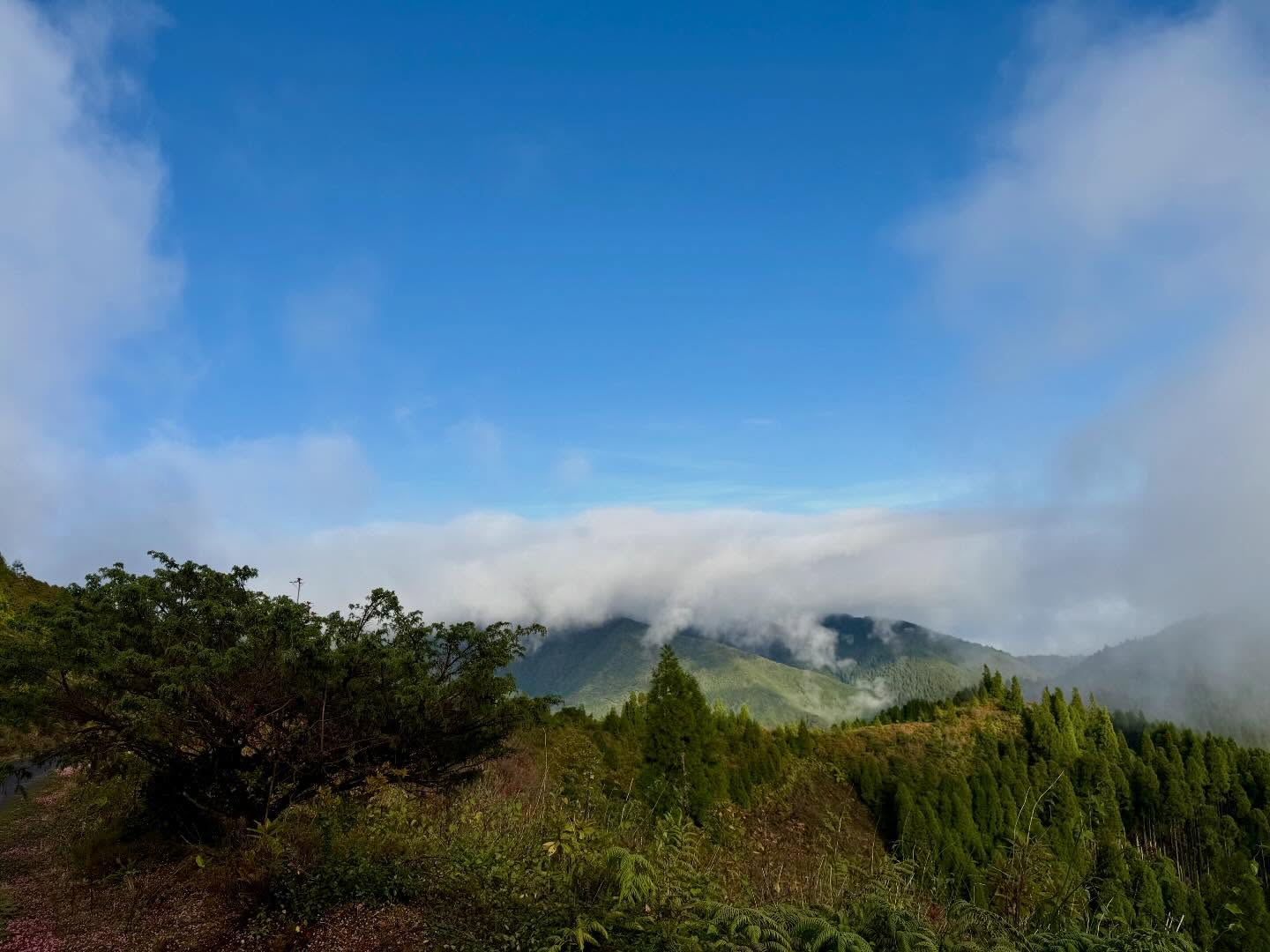 Above the clouds this weekend in Nordeste