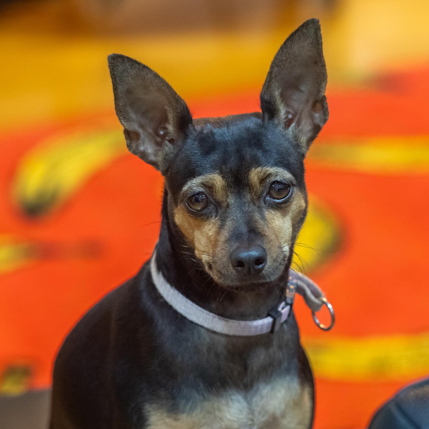 Kira posing for the camera